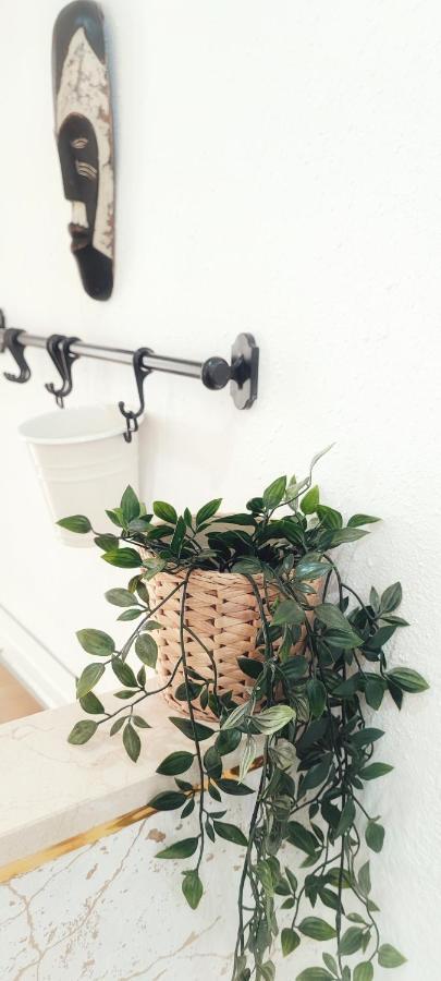 Apartamento Hermosilla マラガ エクステリア 写真